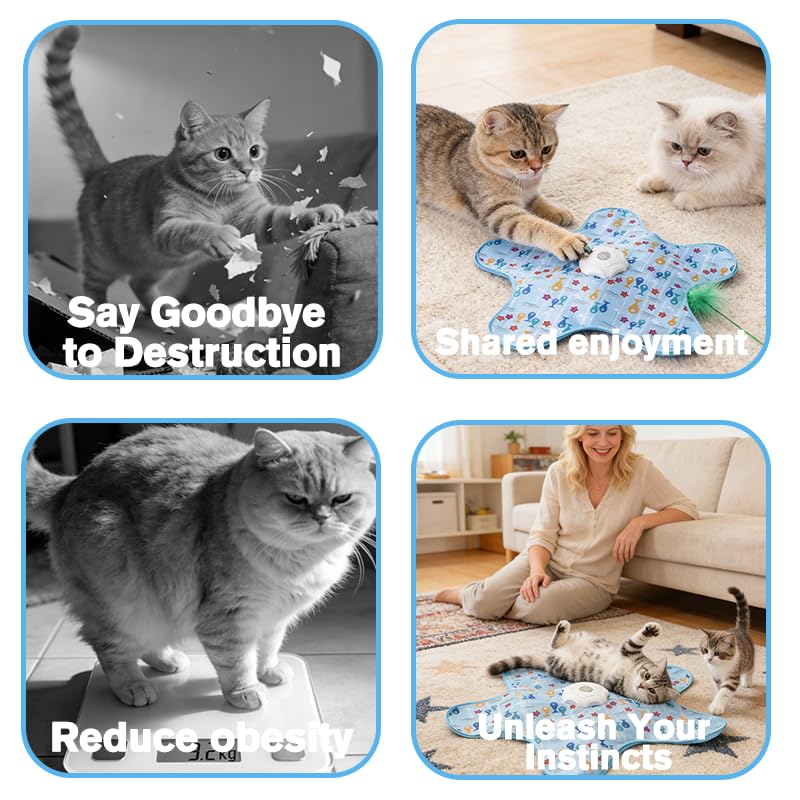 Interactive Cat Toys, Automatic Activated Hide and Seek Indoor Toys