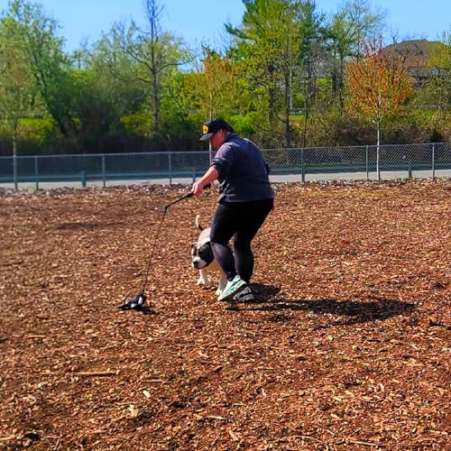 Flirt Pole For Dogs- Extendable Heavy Duty Flirt Pole For Dogs- Interactive Dog Training Toy w/ Interchangeable Lures & Instructional Guide- Engaging Heavy Duty Dog Toy- Flirt Pole For Large Pups