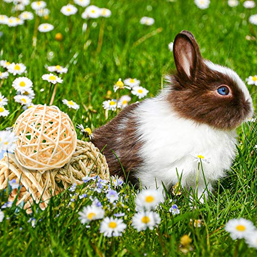 8 Pcs Small Animals Play Balls Rolling Activity Chew Toys Gnawing Treats for Rabbits Guinea Pigs Chinchilla Bunny Natural Balls, Pet Cage Entertainment Accessories (8 Pcs+ Pine Cone) - color: 8 Pcs+ Pine cone