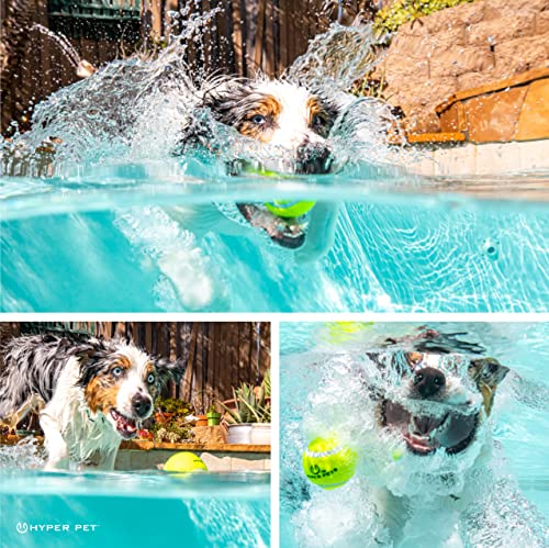 Hyper Pet Tennis Balls for Dogs, Pet Safe Dog Toys for Exercise and Training, Pack of 4, Green - color: Green, size: Regular 2.5" - 4 Pack