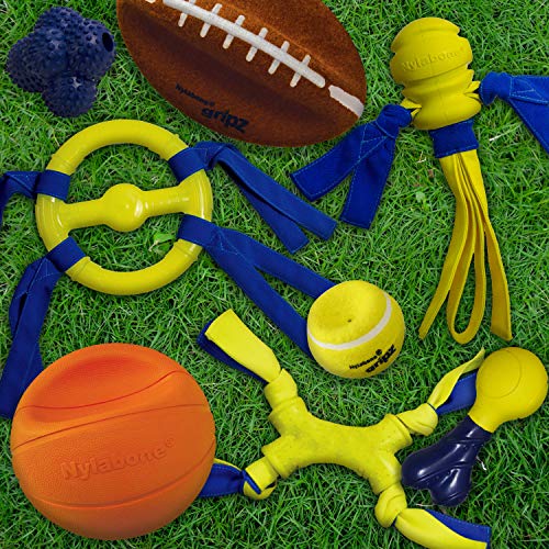 Nylabone Power Play Basketball Gripz Dog Play Toy, Large - size: Large