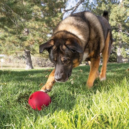 KONG Ball with Hole, Natural Rubber Fetch Toy, Red, for Large/X-Large Dogs - size: Large