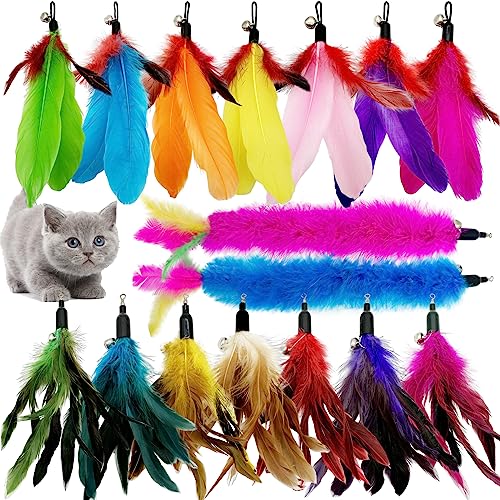 Cat Feather Toys Refill, 16 Pieces Cat Wand Replacement Feathers Toy for Indoor Cats - color: 16PCS Cat Feather Toy Refills