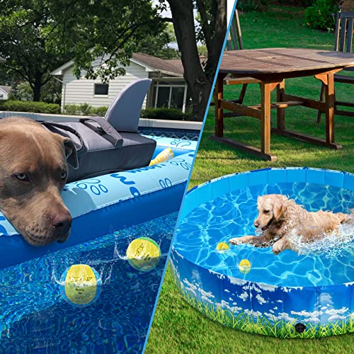 BINGPET Dog Pool Toy Floating Balls, 2 Pack Summer Dog Water Ball