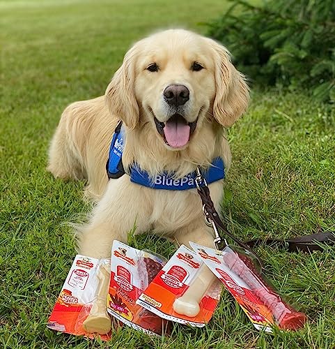 Nylabone Power Chew Original Bone Dog Chew Toy, Original Flavor, Large - size: Large
