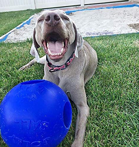Jolly Pets Teaser Ball Interactive Dog Toy, 10 in XL, Blue - color: Blue, size: XL (10 in)