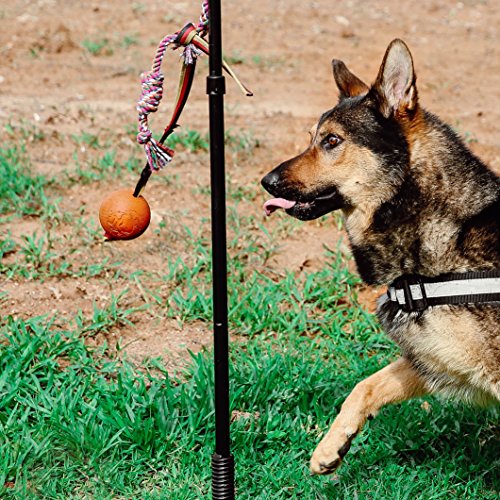 Dog Retractable Interactive Training Tug Toy - Pet Obedience Training Tug - Stable Exercise Metal Pole & Spring Rod with Replaceable Chew Rope for Small/Medium/Large Dogs