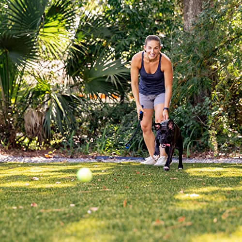 Franklin Pet Supply Co. Mini Tennis Ball Launcher for Dogs - RSF Mini Tennis Ball Thrower for Fetch + Active Play - Perfect Toy for Small Dogs - style: 1.7" Ball