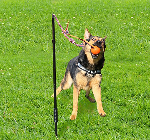 Dog Retractable Interactive Training Tug Toy - Pet Obedience Training Tug - Stable Exercise Metal Pole & Spring Rod with Replaceable Chew Rope for Small/Medium/Large Dogs