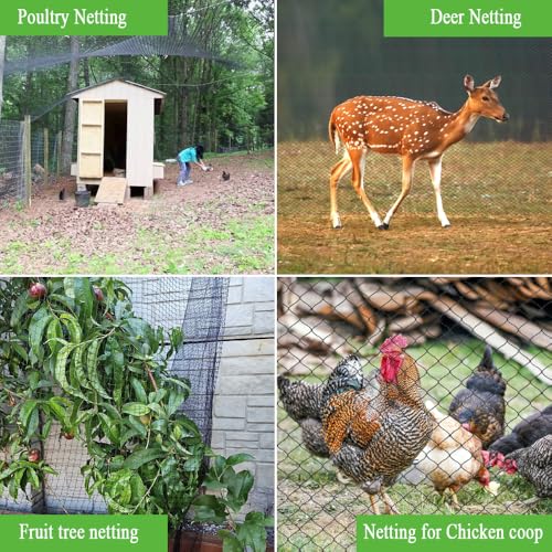Bird Netting 10x10 Ft, 1/2 in Mesh Heavy Duty Garden Netting - size: 10x10Ft