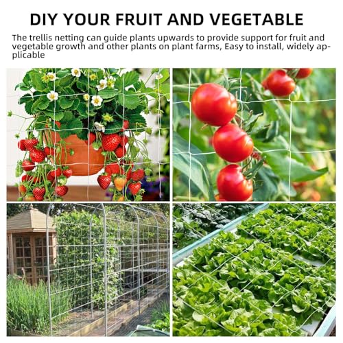 Heavy Duty Garden Trellis Netting, 6 x 30 ft, White, Rectangular, Reusable, Supports Vine Vegetables Fruits Flowers, Ideal for Vertical Horizontal Gardening - size: 6x30ft - 2 Pack