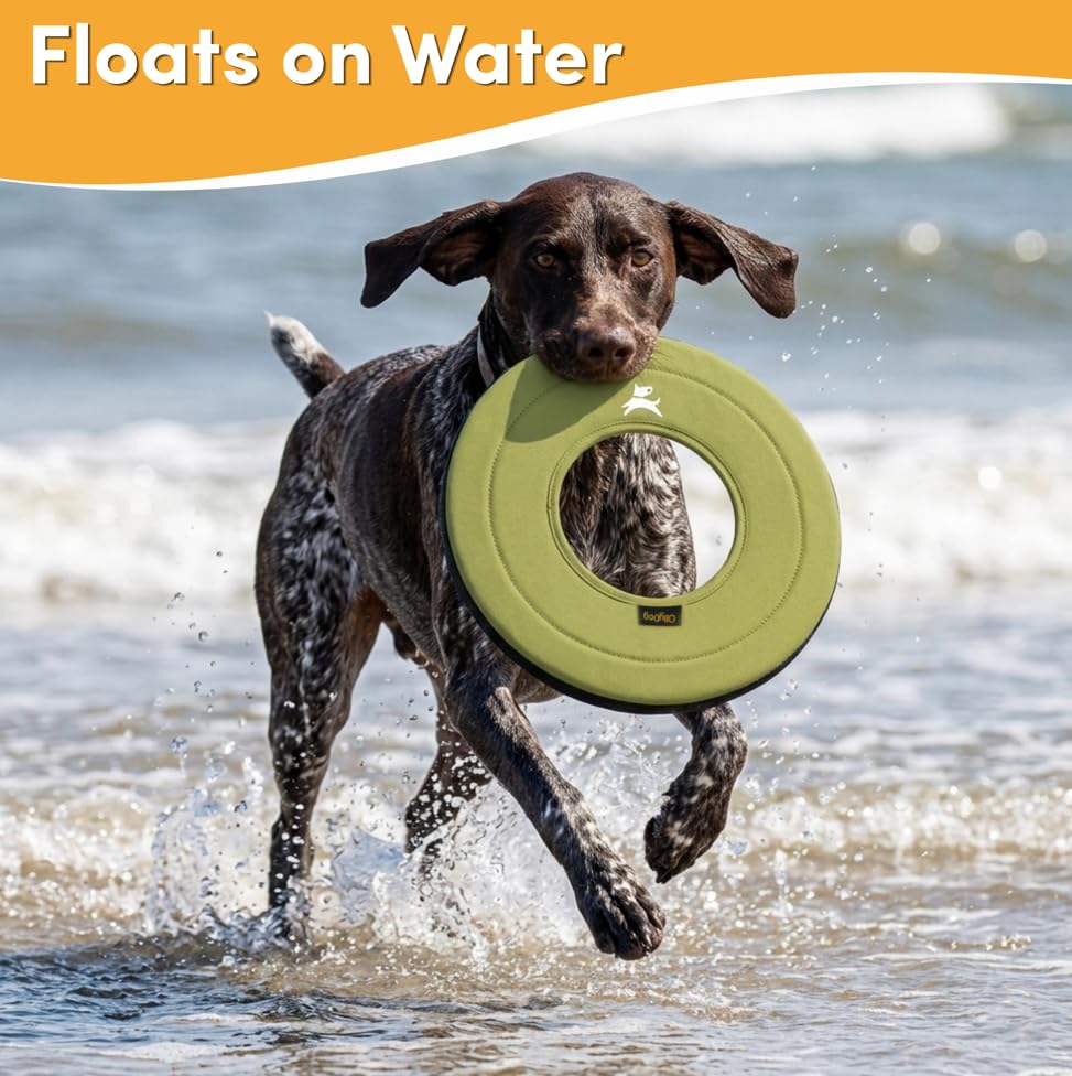 OllyDog Super Flyer Dog Flying Disc – Floating Fetch Toy for Water Play, Soft Eco-Friendly Recycled Fabric, Gentle on Teeth, 11" for Medium & Large Dogs (Alchemy, 11") - color: Alchemy