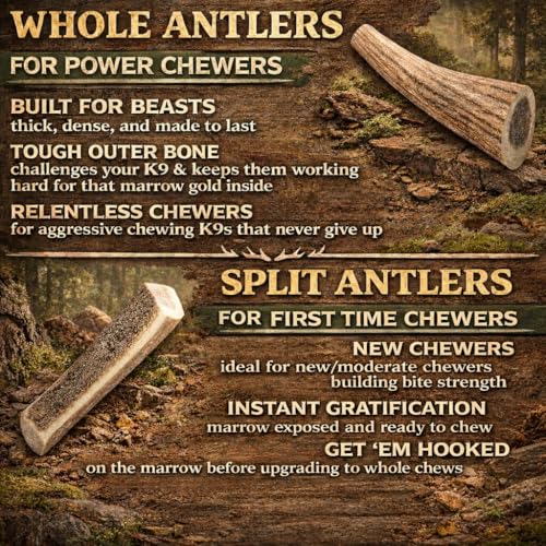 Elk Antlers for Dogs - Large Split Natural Chew (Ideal for 40-70 lb Dogs) - size: Large, style: Split