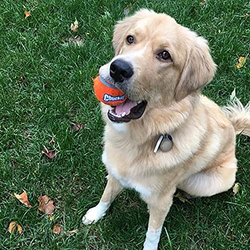 Chuckit! Dog Tennis Ball Dog Toy, Large (3 Inch Diameter) for Dogs 60-100 lbs 2 Count (Pack of 12) - size: Large - 2 Count ( Pack of 12)