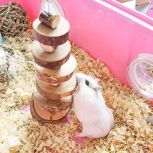 Small Animal Chews Toy Apple Wood Block Cage Hanging Molars Treats Snack