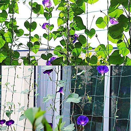 Yahpetes Garden Netting 1Pcs Garden Climbing Net Plant Trellis Plant net trelli Green Strong Nylon Ft Netting Heavy Duty Net Support for Climbing&Vining Plants (6'X3') - color: 6'x3'