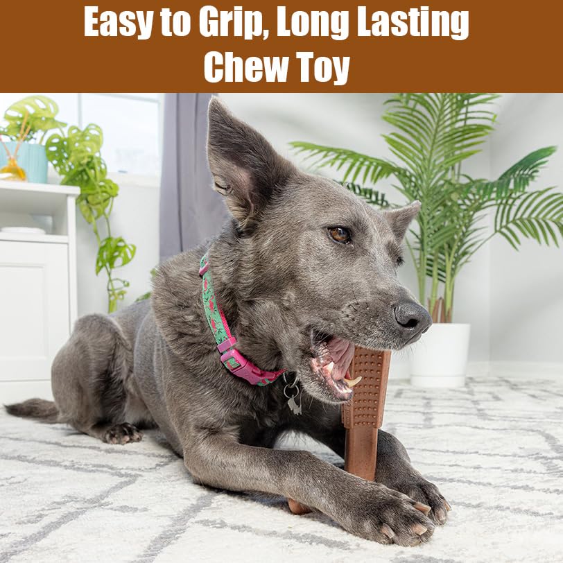 SPOT Bam-Bones Plus T-Bone Dog Chew, Beef, 6in, 30-60 lb Heavy Chewers - size: Medium