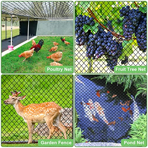 Bird Netting 50'x50' Heavy Duty Nylon Net with 2" Mesh, Chicken Netting - size: 2", 50' x 50'