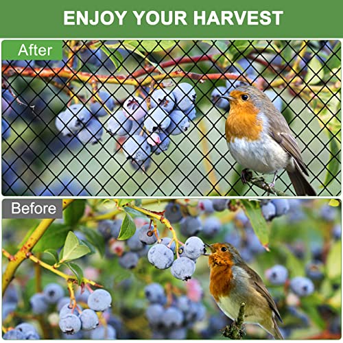 Bird Netting 50'x50' Heavy Duty Nylon Net with 2" Mesh, Chicken Netting - size: 2", 50' x 50'