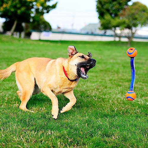 Chuckit! Ultra Duo Tug Toy, Small Indoor and Outdoor for Dogs 0-20 Pounds - size: Small, style: Ultra Duo Tug