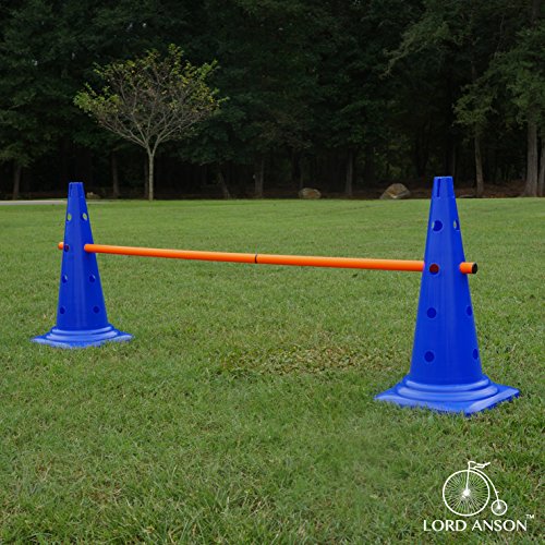 Dog Agility Hurdle Cone Set - Canine Training Set - Obedience, Rehabilitation - 16 Cones and 8 Rods - size: 16 cones / 8 rods