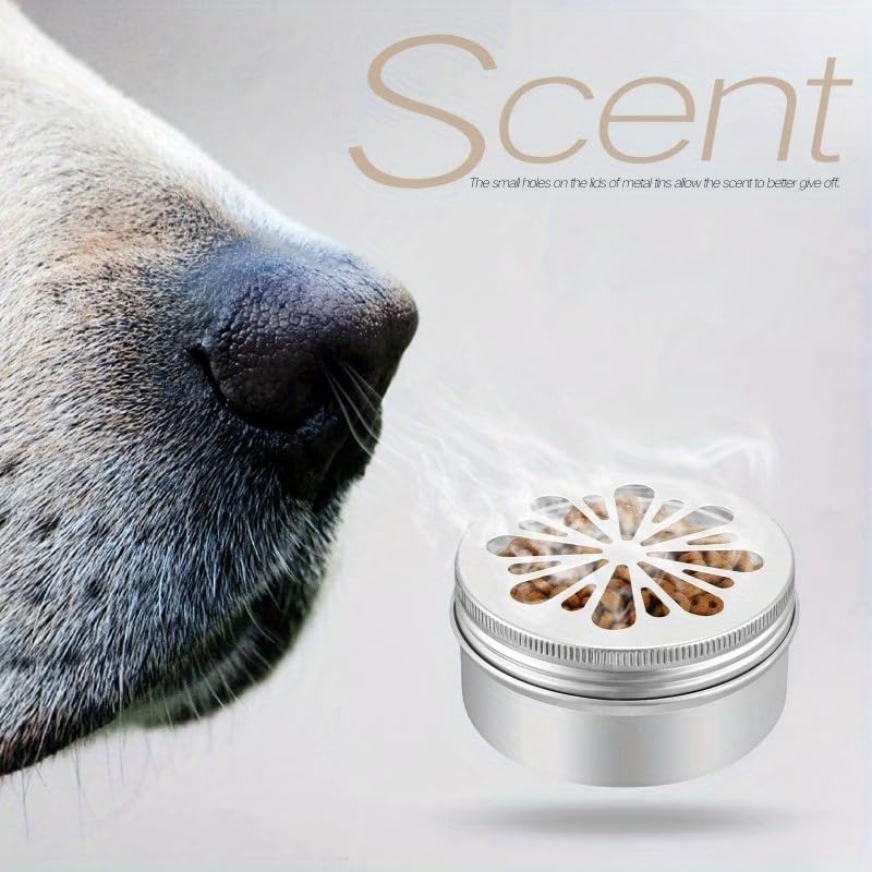 1Pc Dog Scent Training Case, Training Container, Odor Training Tool, Pet Dog Training