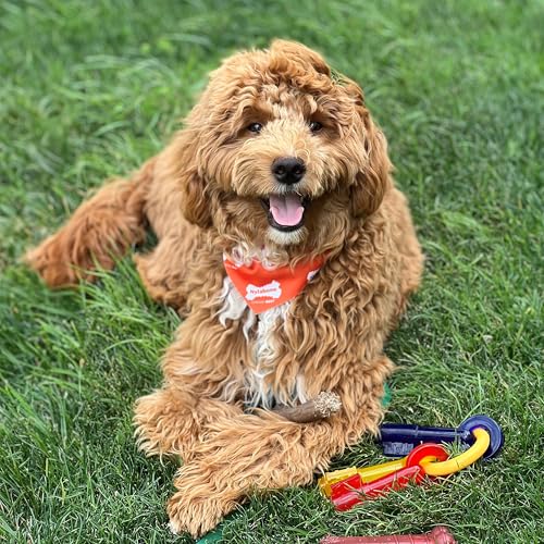 Nylabone Puppy Chew Teething Keys Dog Chew Toy, Bacon Flavor, Medium - size: Medium