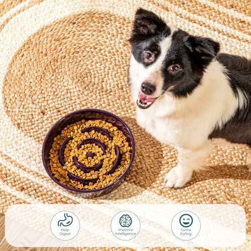 vancasso Slow Feeder Dog Bowl, 3 Cups Ceramic Puzzle Dish for Large Breed - color: Dark Purple, size: L - 3 Cups