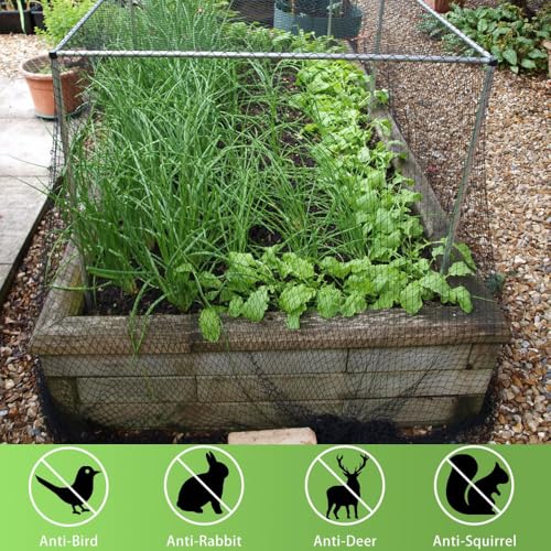 Bird Netting 25x25 Ft, 1/2 in Mesh Heavy Duty Garden Netting - size: 25×25 FT