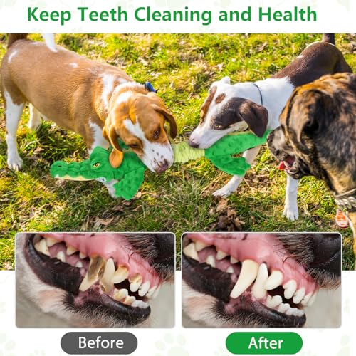 Letsmeet Large Squeaky Alligator Dog Toys, Interactive Puppy Toys with Crinkle Paper, Pull Tug of War Dog Toy, Plush Dog Chew Toys for Small, Medium, Large Breed - style: Alligator