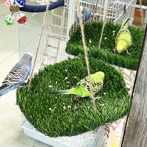 FlidRunest Large Bird Foraging Mat Toys, Natural Bird Grass Hammock Swing Toy with Hooks, Climbing Perch Hanging Toy for Parakeets, Parrot, Cockatiels, Bearded Dragon, Snake - color: Green