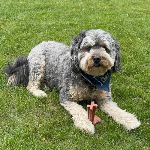 SPOT Bam-Bones Plus T-Bone Dog Chew, Beef, 6in, 30-60 lb Heavy Chewers - size: Medium