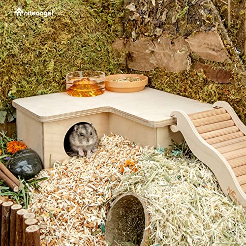 Niteangel Multi-Chamber Hamster House Maze: 1 Entrance 3 Rooms Maze Habitat - size: 3-Room Small