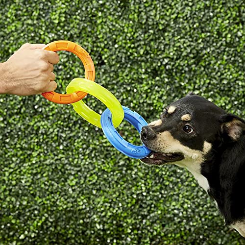 Nerf Dog 3-Ring Tug Outdoor Dog Toy, 10.5 Inch Ring Dog Tug Toy for Medium and Large Breeds, Blue/Green/Orange - size: 10.5 Inches - For Medium and Large Breeds