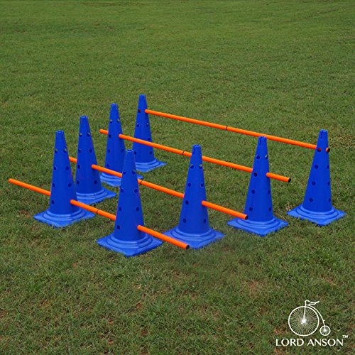 Dog Agility Hurdle Cone Set - Canine Training Set - Obedience, Rehabilitation - 16 Cones and 8 Rods - size: 16 cones / 8 rods