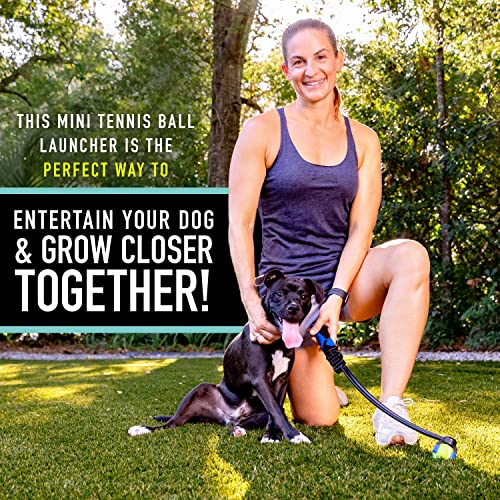 Franklin Pet Supply Co. Mini Tennis Ball Launcher for Dogs - RSF Mini Tennis Ball Thrower for Fetch + Active Play - Perfect Toy for Small Dogs - style: 1.7" Ball