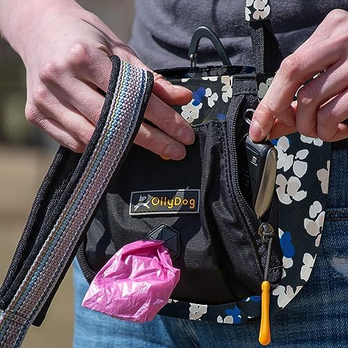 OllyDog Backcountry Day Bag | Hands-Free Dog Training Treat Pouch | Fanny/Hip Pack with Zipper Closure & Built-in Poop Bag Dispenser | Removable Waist Clip (Lotus) - color: Lotus