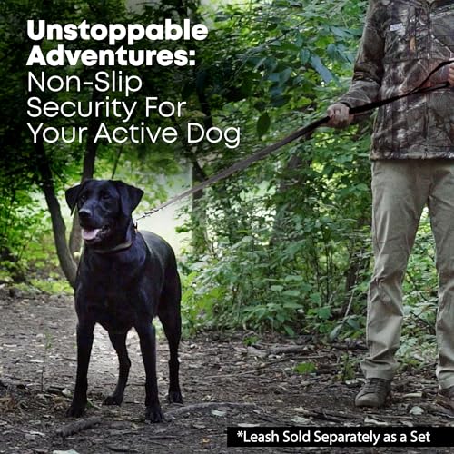 Regal Dog Products Waterproof Dog Collar, Nickel Double Buckle, Large Black - color: Black, size: Large