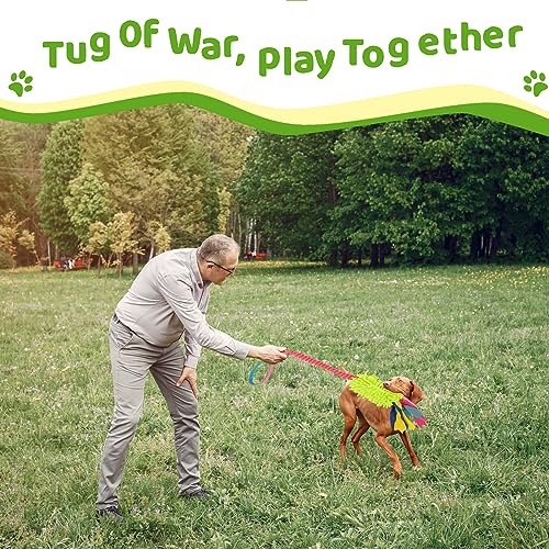 wodoca Dog Tug Toys - Aggressive Chewer Rope Toy for Large Dogs - color: Green Chenille, Pink Webbing