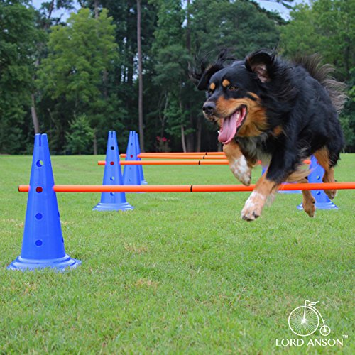 Dog Agility Hurdle Cone Set - Canine Training Set - Obedience, Rehabilitation - 16 Cones and 8 Rods - size: 16 cones / 8 rods
