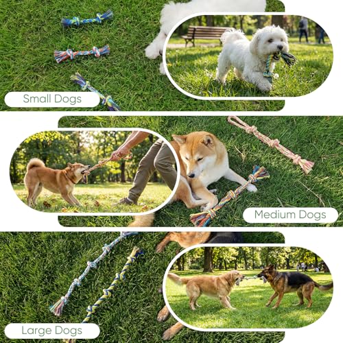 Aitmexcn Dog Rope Toys,10 Pack Cotton Chew Tug Toys for Small Medium Dogs - size: 10 Pack-Small