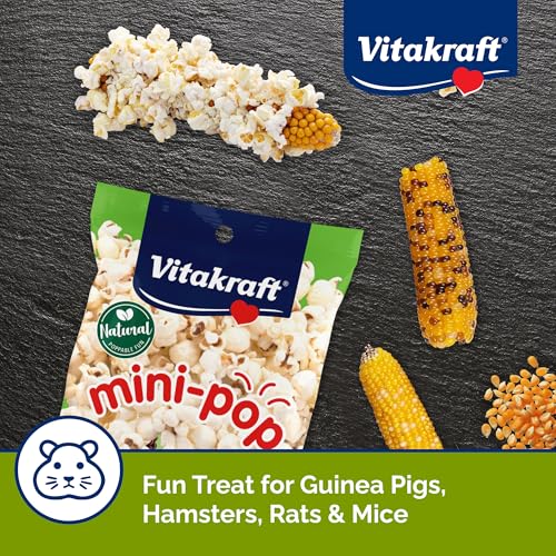 Vitakraft Mini-Pop Treat for Small Animals 6 oz - All-Natural - size: 6 Ounce (Pack of 1)