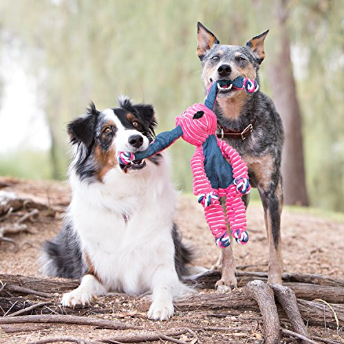 KONG Floppy Knots Rope and Plush Dog Toy, Hippo, Medium/Large - color: Hippo, size: Medium/Large