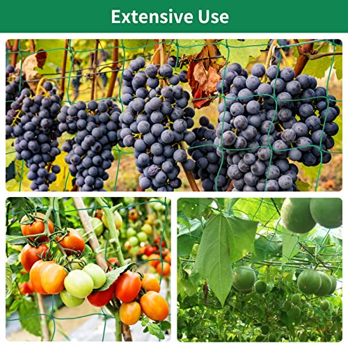 KINGLAKE GARDEN Trellis Netting for Climbing Plants Garden Plant Netting