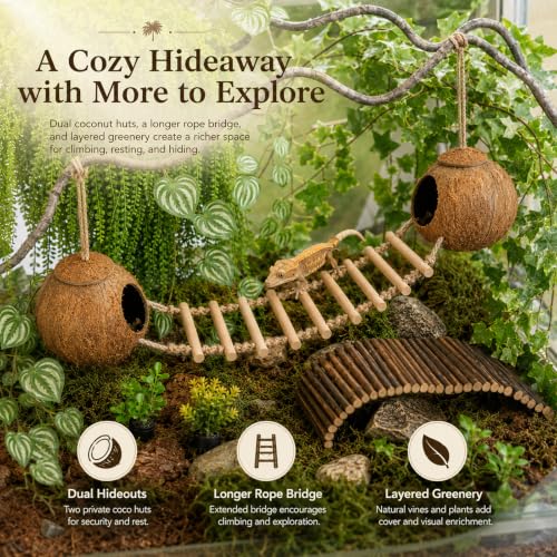 RUNANIA Crested Gecko Tank Accessories, Reptile Hanging Plants Vines with Natural Double Coconut Hideout & Climbing Ladder Decor for Hermit Crab Lizard Leopard Gecko Chameleon Snake Terrarium Decor - size: Large