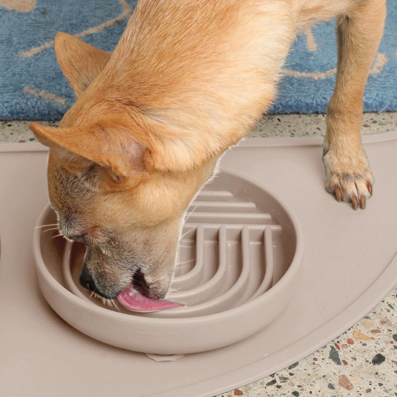 Slow Feeder Dog Bowl - Silicone Dog Bowl, Small, 6" x 1.25" - Tan - color: Tan - Rainbow Design, size: Small (6” Across x 1.25” Tall)