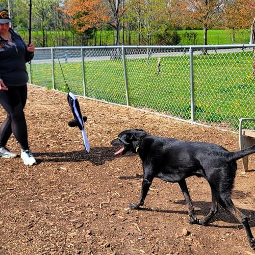 Flirt Pole For Dogs- Extendable Heavy Duty Flirt Pole For Dogs- Interactive Dog Training Toy w/ Interchangeable Lures & Instructional Guide- Engaging Heavy Duty Dog Toy- Flirt Pole For Large Pups