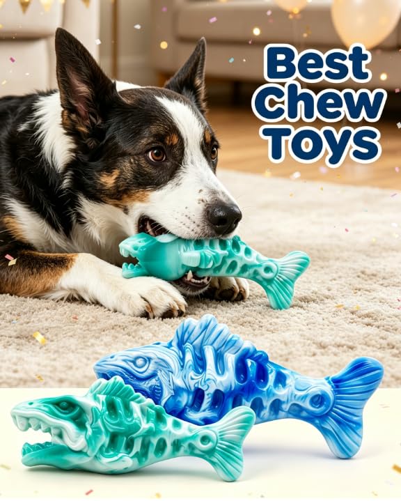 BoYoYo 2 Pack Tough Dog Chew Toys for Aggressive Chewers