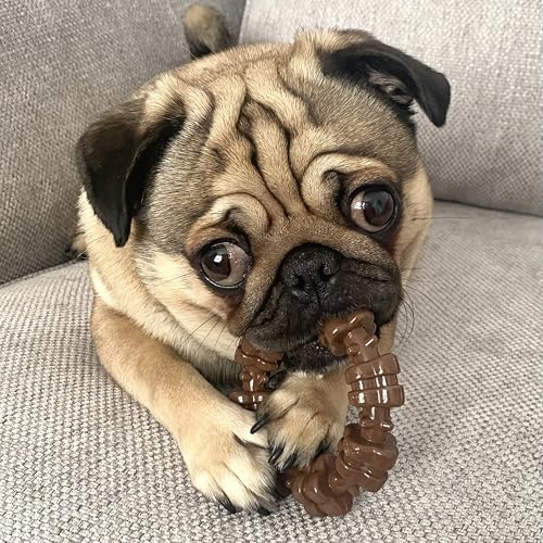 Nylabone Textured Ring Power Chew Toy for Small Dogs Up to 25 lbs - color: Textured Ring, size: Small