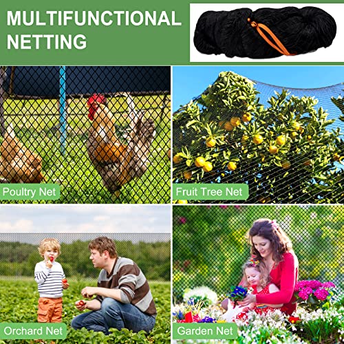 DQS Bird Netting 50' x 50', 1" Square Mesh Garden Netting, Chicken Coop Net - size: 1", 50' x50'